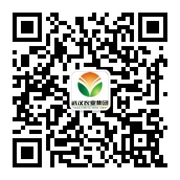 mg冰球突破(中国)官方网站